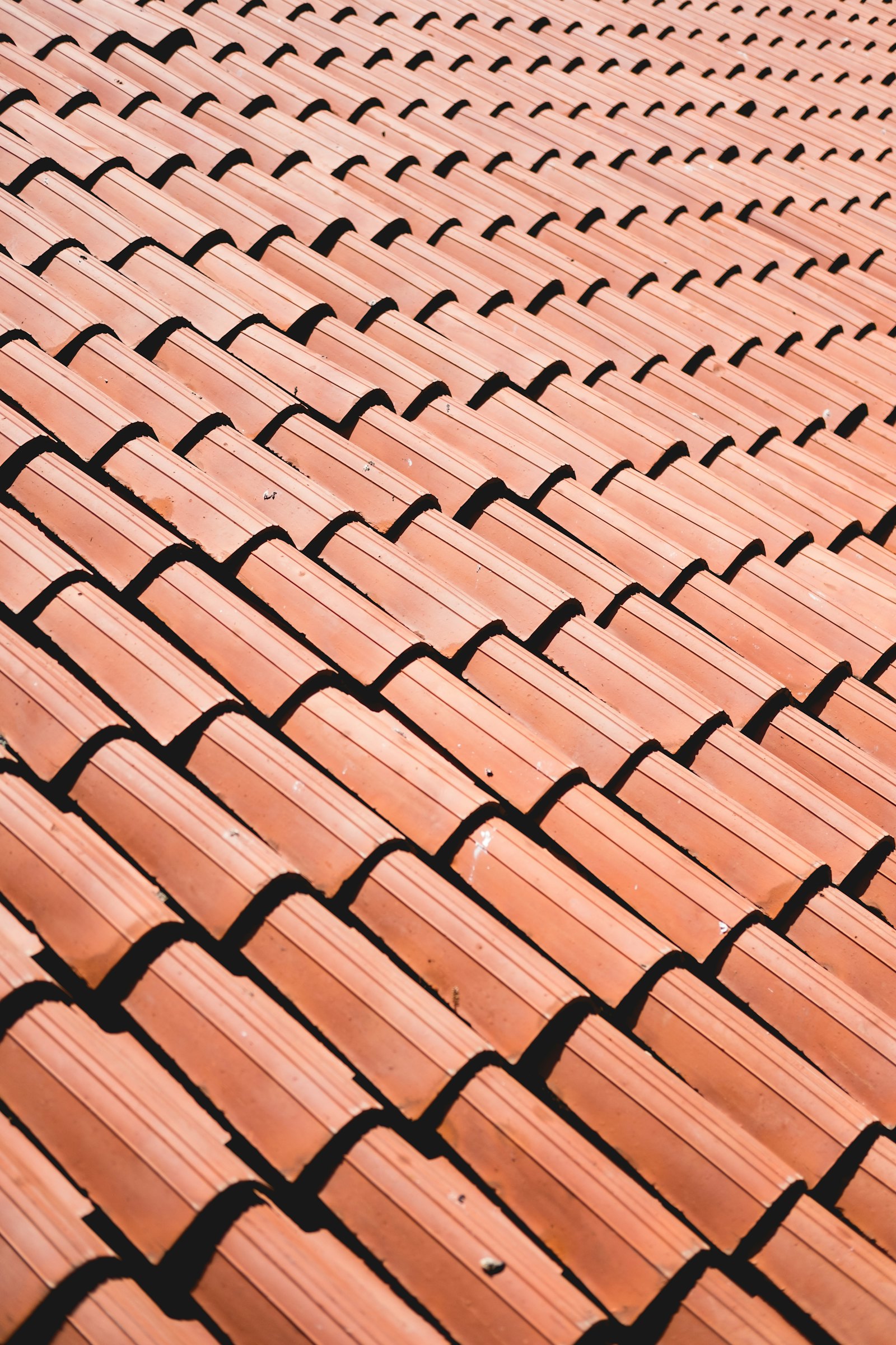Terracotta dakpannen op een gerenoveerd hellend dak