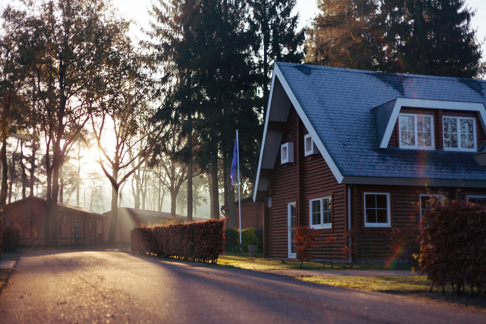 Nieuw dak op een vrijstaande woning aan de bosrand